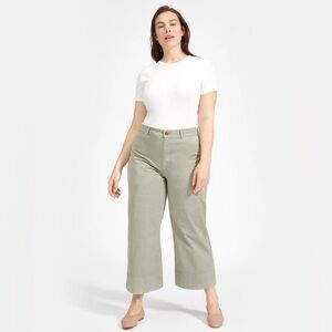 Everlane The Lightweight Wide-Leg Crop Chino Pants in Light Sage Green, Size 14